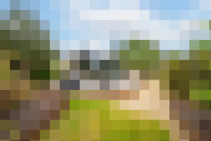 Rijnbandijk 95 Maurik thumbnail 101
