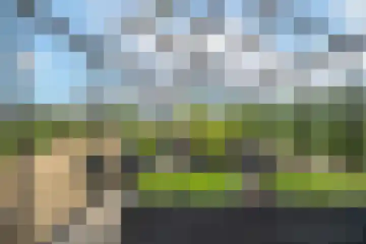 Rijnbandijk 95 Maurik thumbnail 102