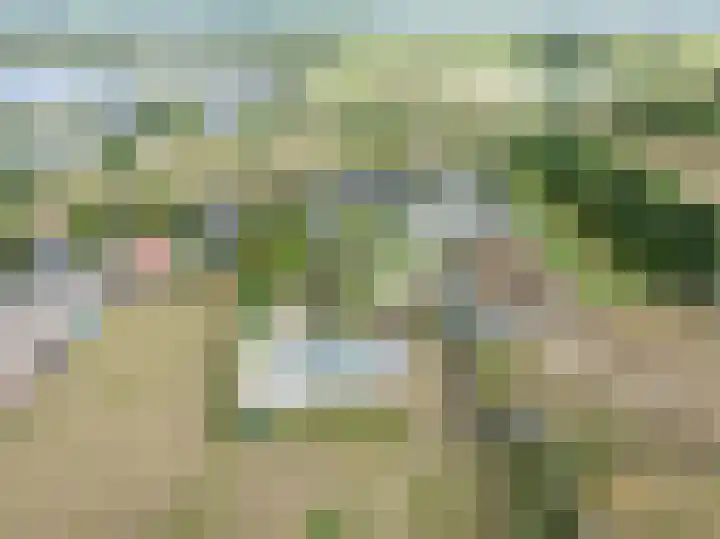 Rijnbandijk 95 Maurik thumbnail 109