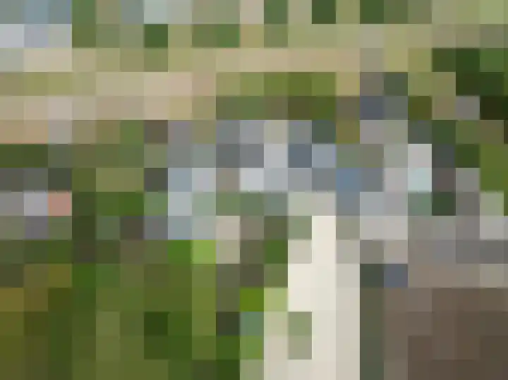 Rijnbandijk 95 Maurik thumbnail 111
