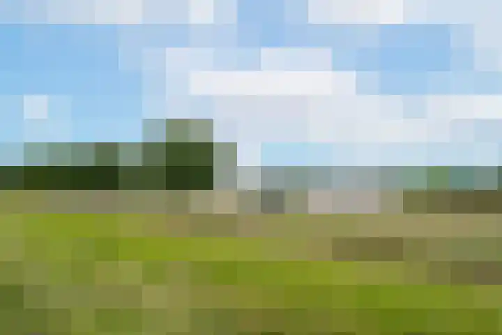 Rijnbandijk 95 Maurik thumbnail 114