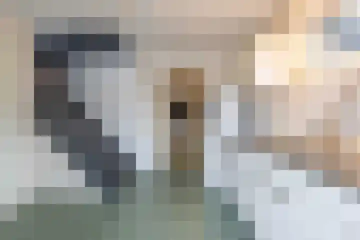 Rijnbandijk 95 Maurik thumbnail 27