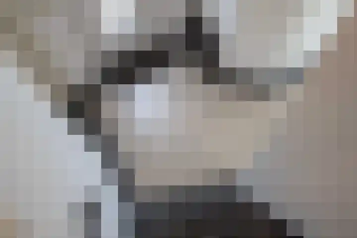 Rijnbandijk 95 Maurik thumbnail 38