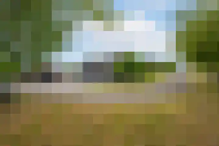 Rijnbandijk 95 Maurik thumbnail 4