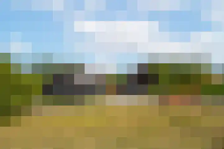 Rijnbandijk 95 Maurik thumbnail 42
