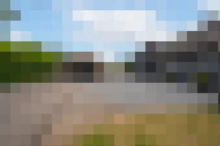 Rijnbandijk 95 Maurik thumbnail 48