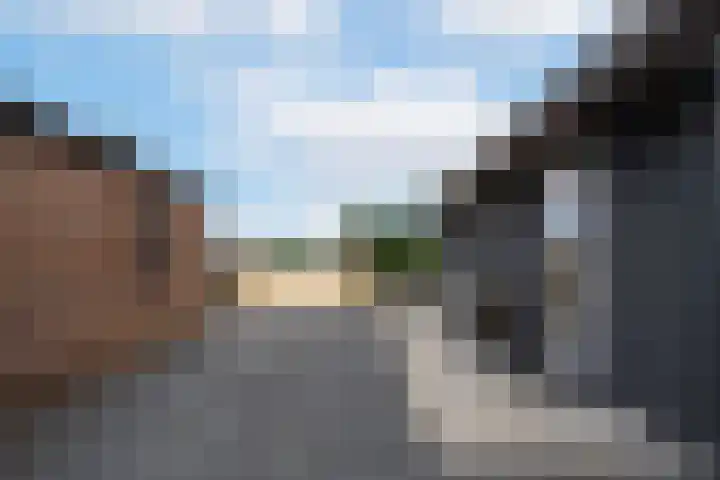 Rijnbandijk 95 Maurik thumbnail 49
