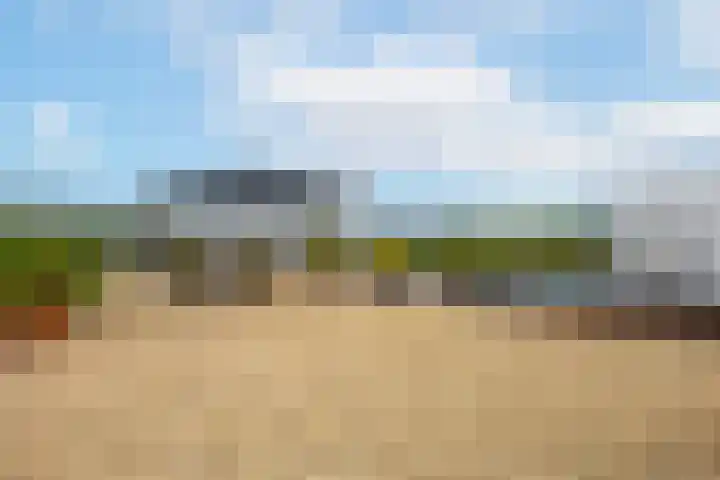 Rijnbandijk 95 Maurik thumbnail 5