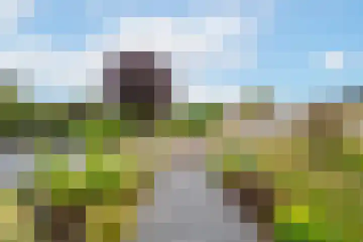 Rijnbandijk 95 Maurik thumbnail 51
