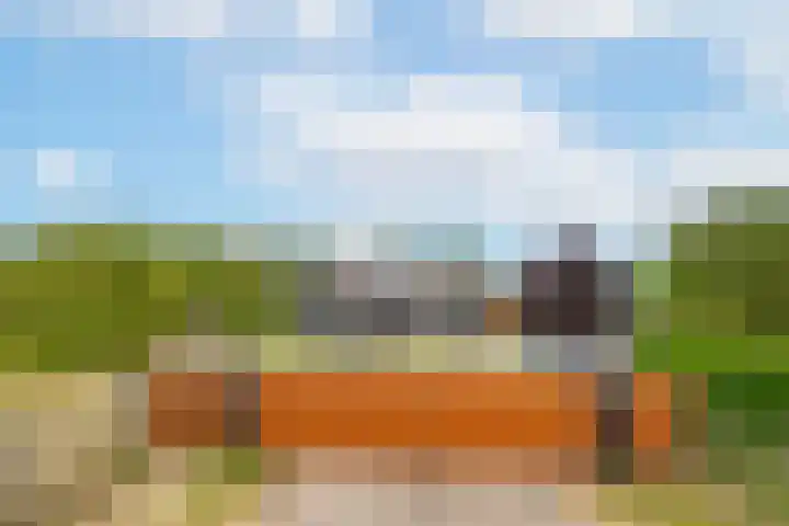 Rijnbandijk 95 Maurik thumbnail 54