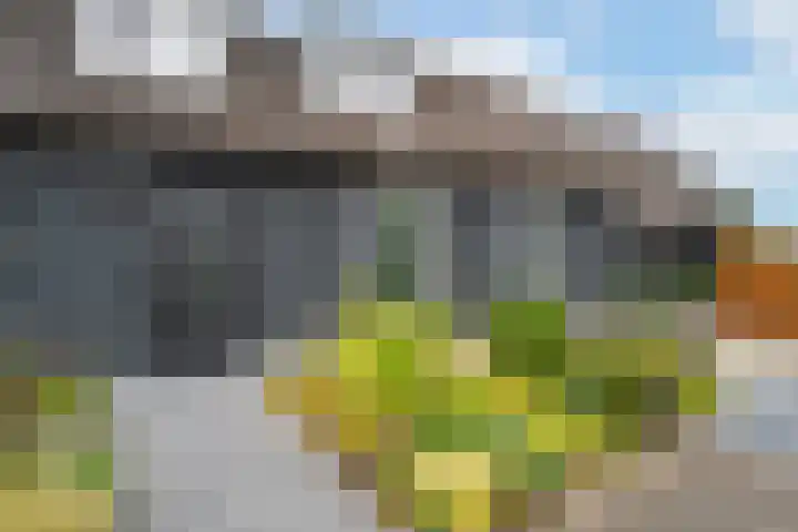 Rijnbandijk 95 Maurik thumbnail 55