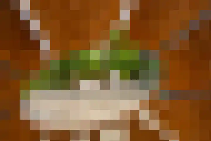 Rijnbandijk 95 Maurik thumbnail 57