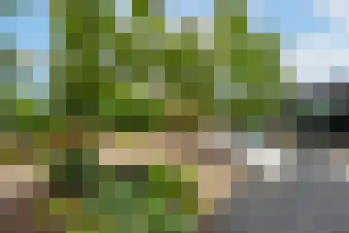 Rijnbandijk 95 Maurik thumbnail 59