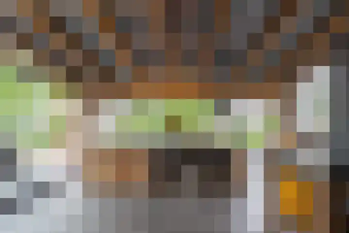 Rijnbandijk 95 Maurik thumbnail 61