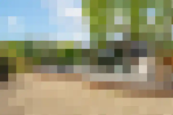 Rijnbandijk 95 Maurik thumbnail 63