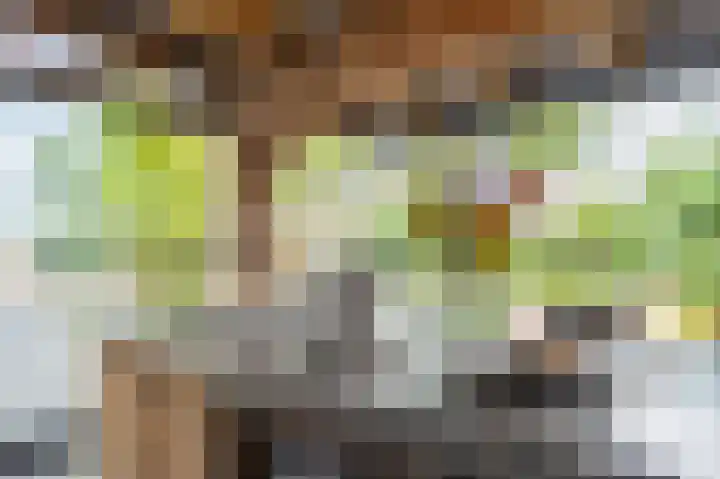 Rijnbandijk 95 Maurik thumbnail 64