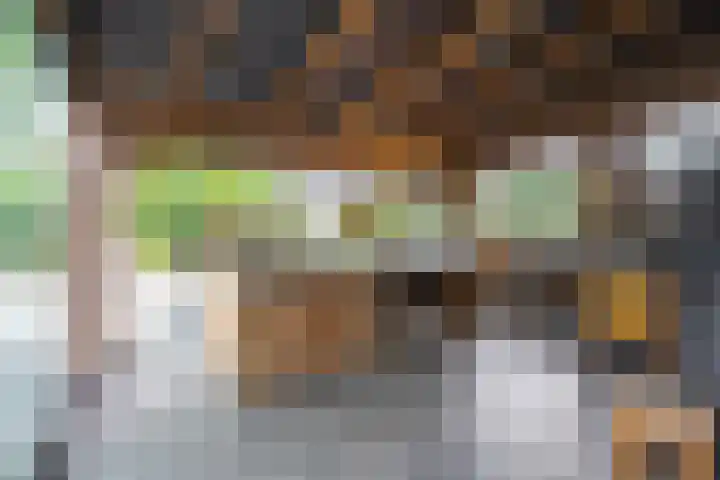 Rijnbandijk 95 Maurik thumbnail 65