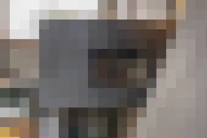 Rijnbandijk 95 Maurik thumbnail 68