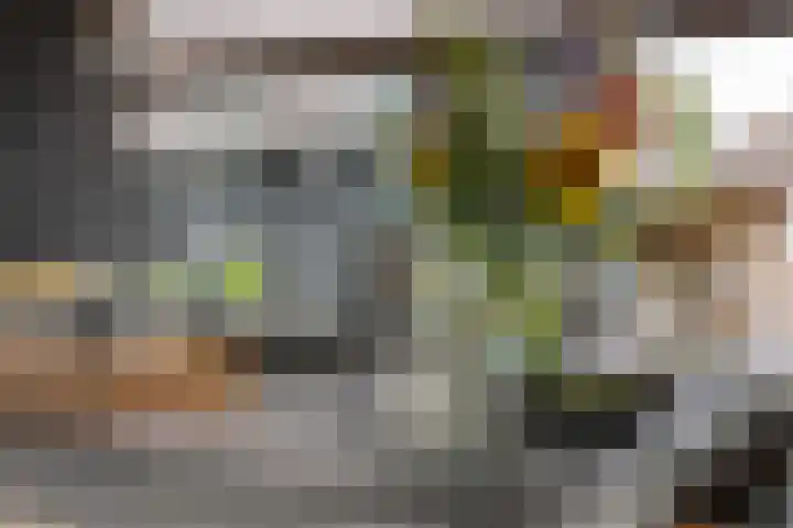 Rijnbandijk 95 Maurik thumbnail 69