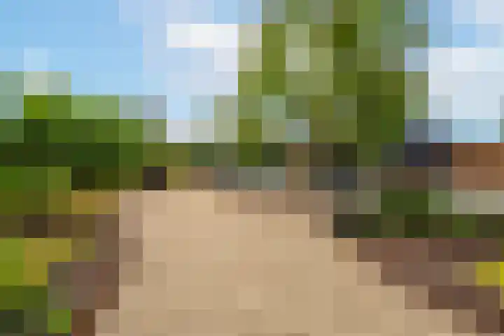 Rijnbandijk 95 Maurik thumbnail 71
