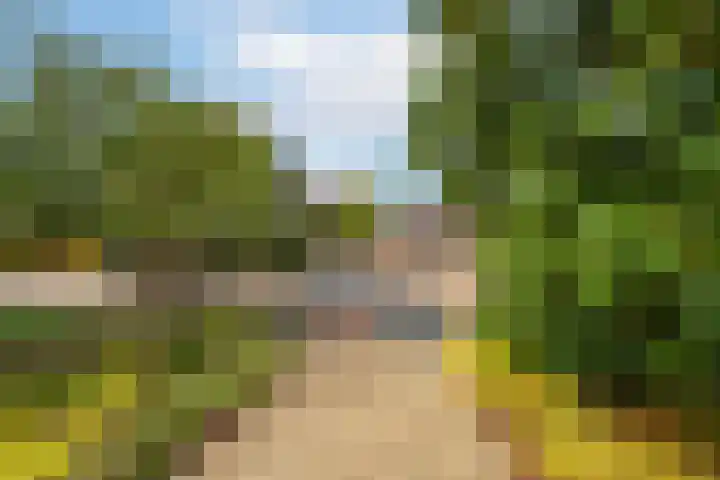 Rijnbandijk 95 Maurik thumbnail 72