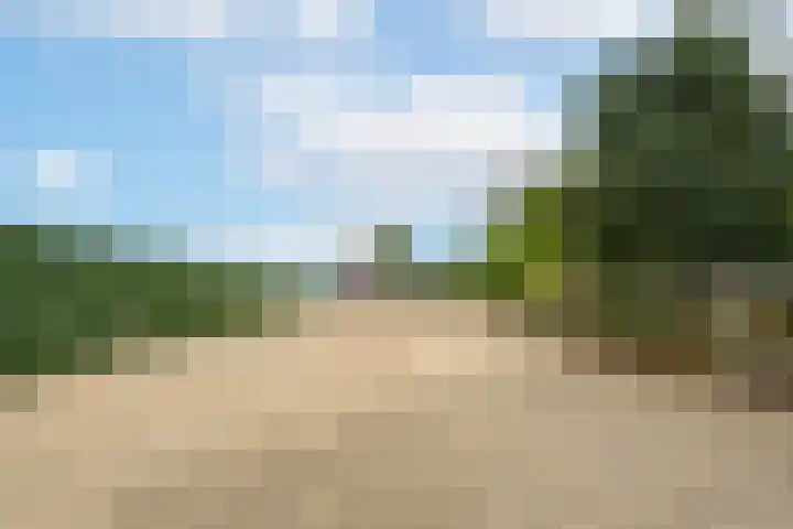 Rijnbandijk 95 Maurik thumbnail 74