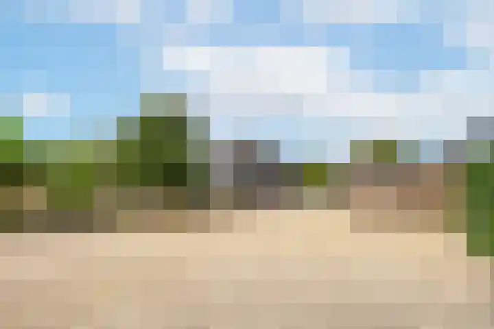 Rijnbandijk 95 Maurik thumbnail 75