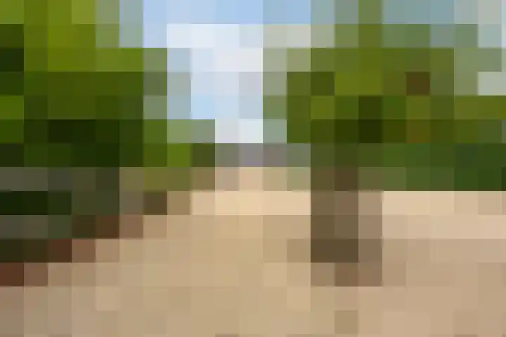 Rijnbandijk 95 Maurik thumbnail 77