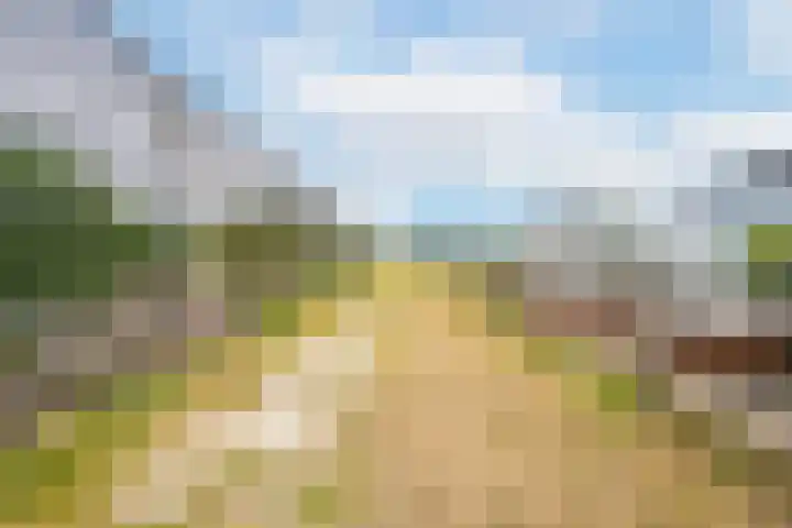 Rijnbandijk 95 Maurik thumbnail 78