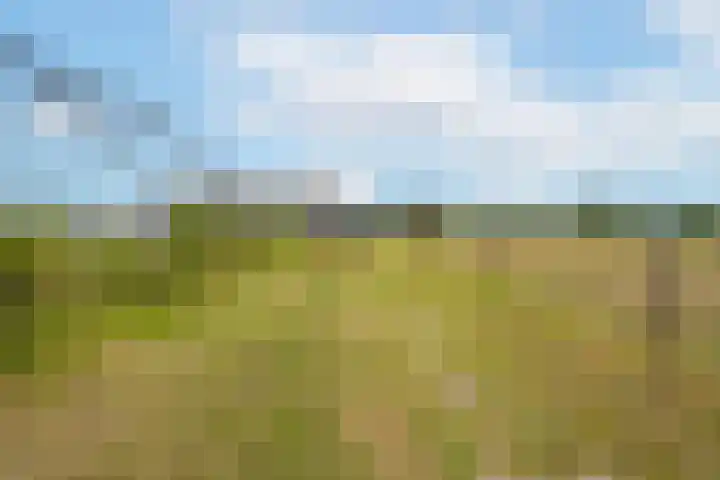 Rijnbandijk 95 Maurik thumbnail 80