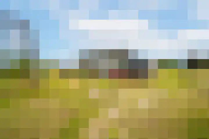 Rijnbandijk 95 Maurik thumbnail 81