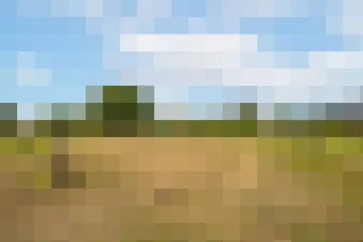 Rijnbandijk 95 Maurik thumbnail 83