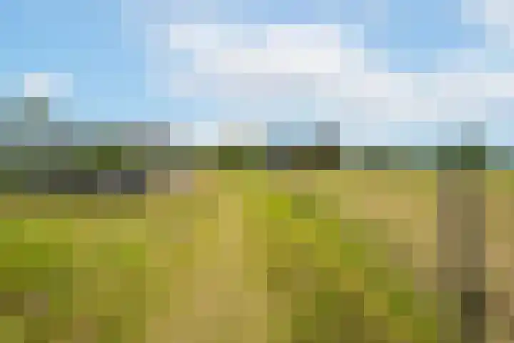 Rijnbandijk 95 Maurik thumbnail 84