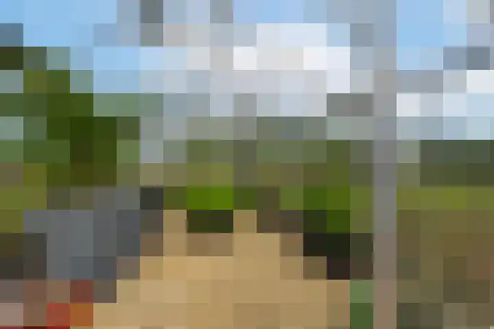 Rijnbandijk 95 Maurik thumbnail 85