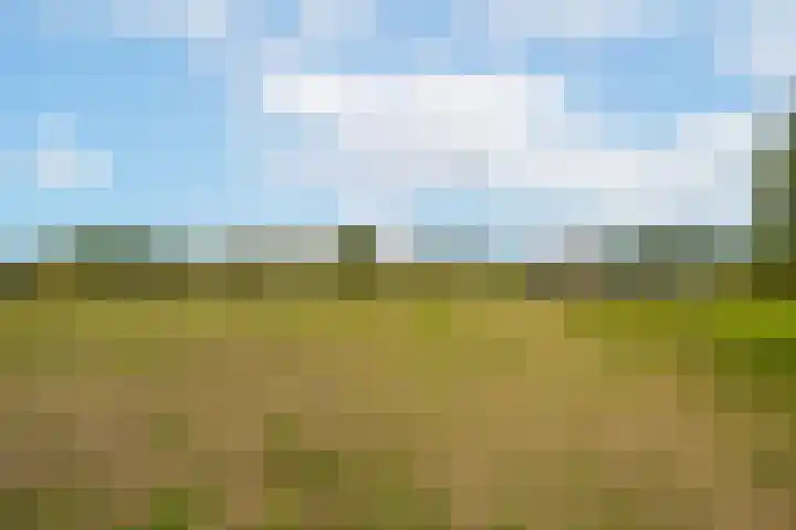 Rijnbandijk 95 Maurik thumbnail 86