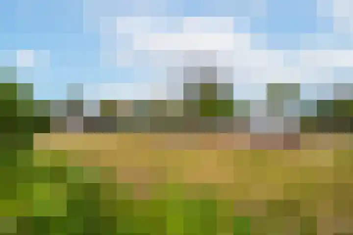 Rijnbandijk 95 Maurik thumbnail 87