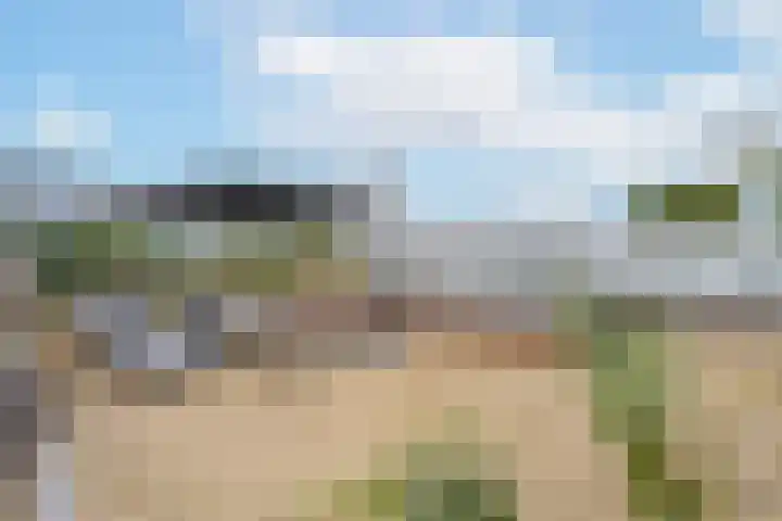 Rijnbandijk 95 Maurik thumbnail 90