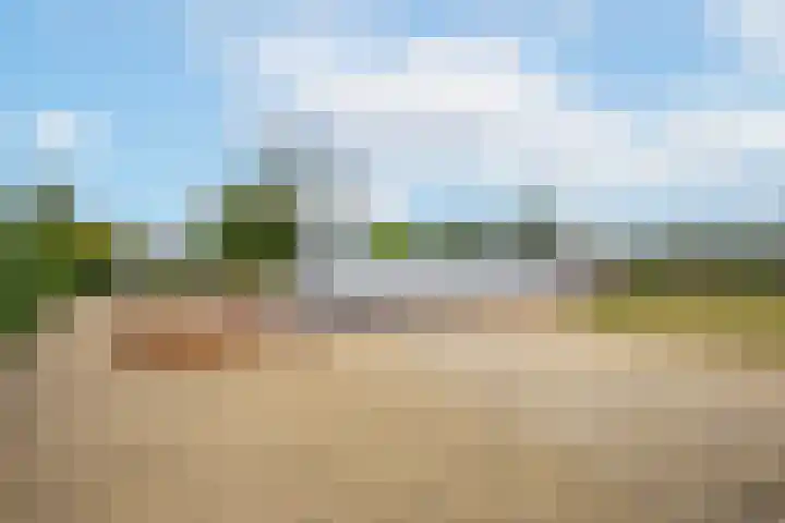 Rijnbandijk 95 Maurik thumbnail 92