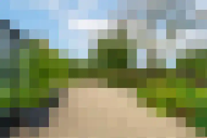 Rijnbandijk 95 Maurik thumbnail 96