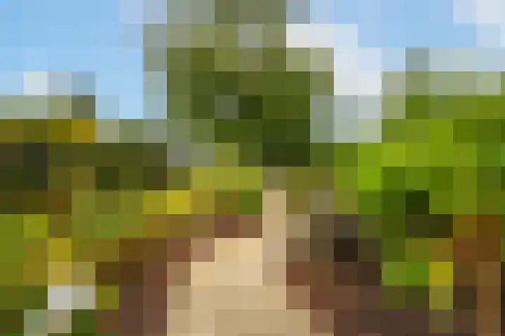 Rijnbandijk 95 Maurik thumbnail 97