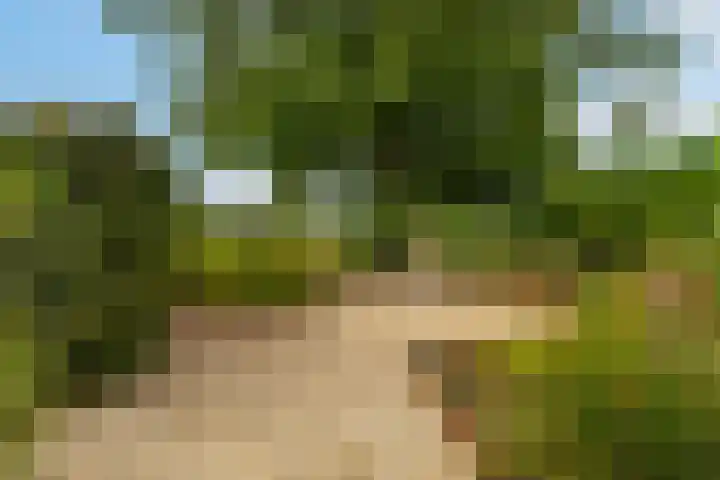 Rijnbandijk 95 Maurik thumbnail 99
