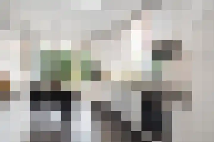 Rijnbeek 5 Geleen thumbnail 21