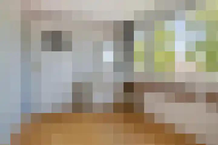 Rijnbeek 5 Geleen thumbnail 39