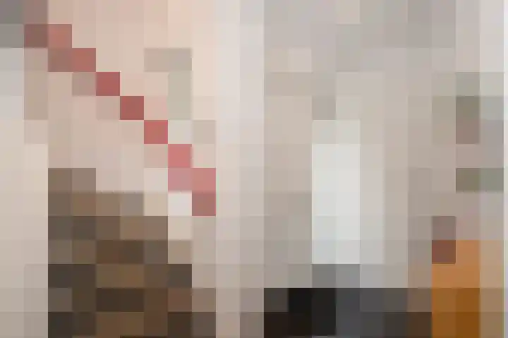 Rijnbeek 5 Geleen thumbnail 8
