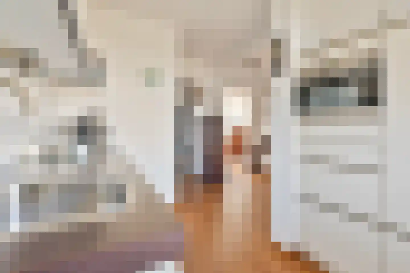 Rijnbeekstraat 133 Venlo thumbnail 15