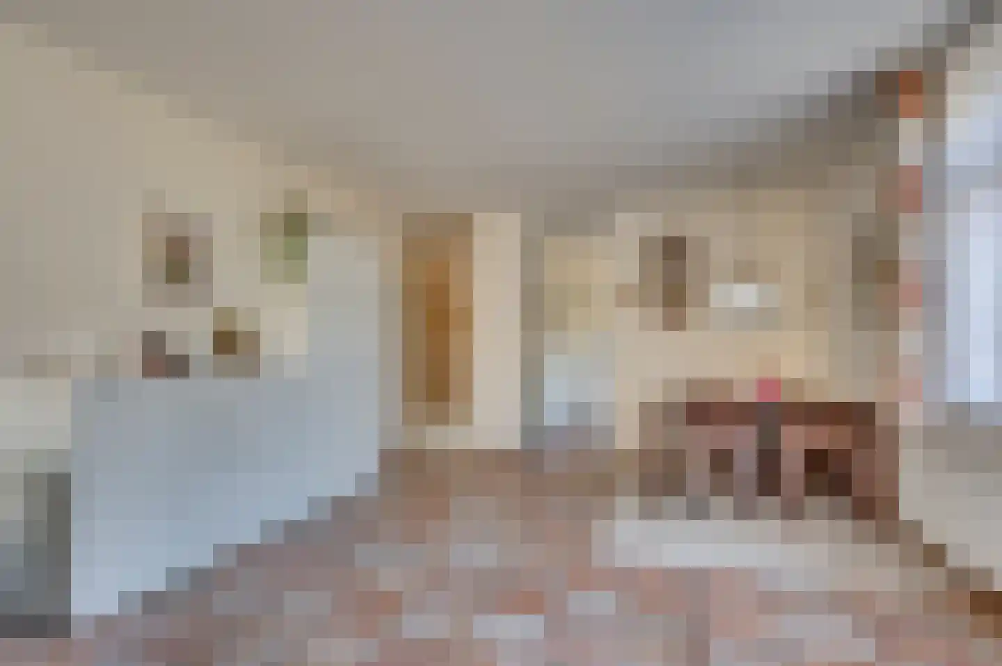 Rijnbeekstraat 2 A Venlo thumbnail 17