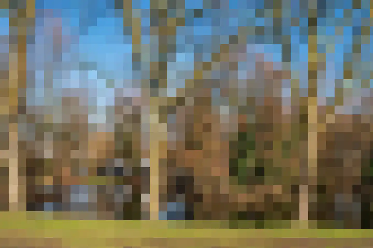 Rijnbeekstraat 2 A Venlo thumbnail 47
