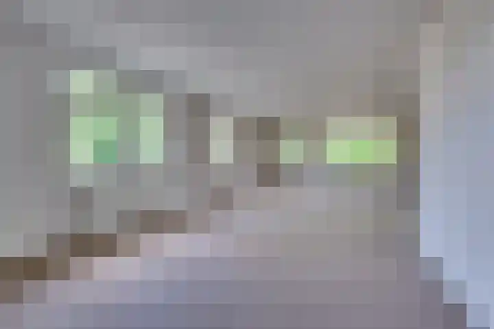 Rijnbeekstraat 2 D Venlo thumbnail 12