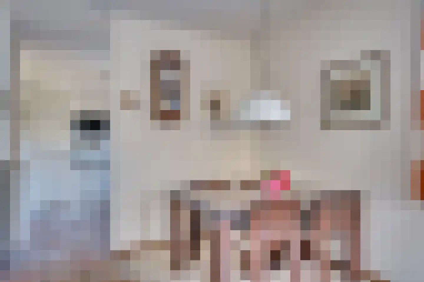 Rijnbeekstraat 2 D Venlo thumbnail 18