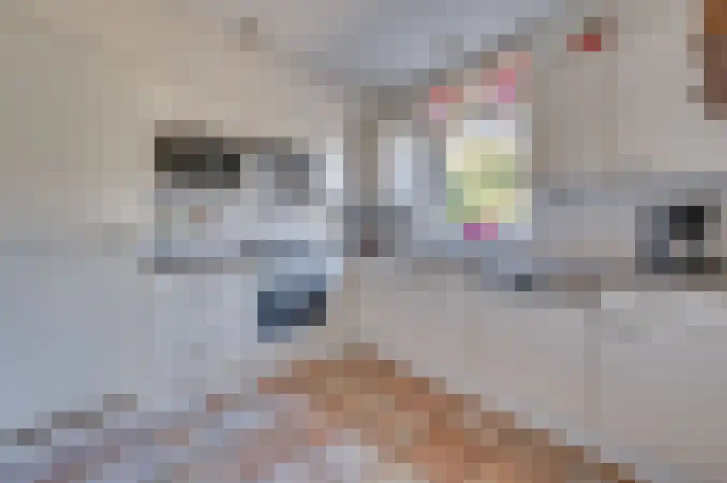 Rijnbeekstraat 2 D Venlo thumbnail 19